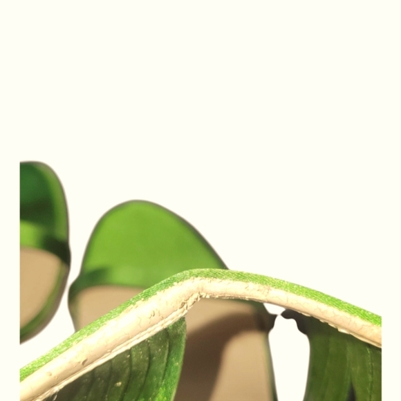 Imagine Vince Camuto Raim Satin  Ankle Strap Green Women's Sandals Sz 7 1/2M/38 - Picture 7 of 10